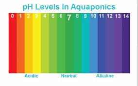 Ph Levels In Aquaponics Aquaponics Exposed