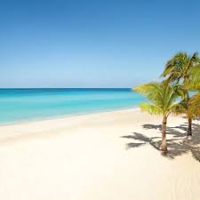 Pin On Life S A Beach