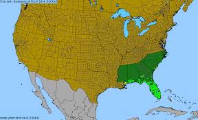 Image result for Eustachys