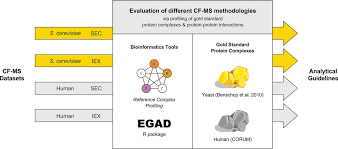 Project documentation for a wayfinding consultancy in melbourne. Analytical Guidelines For Co Fractionation Mass Spectrometry Obtained Through Global Profiling Of Gold Standard Saccharomyces Cerevisiae Protein Complexes Molecular Cellular Proteomics