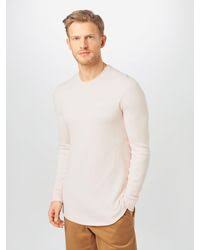 Top marken | günstige preise | große auswahl Hollister Pullover Und Strickware Fur Herren Bis 64 Rabatt Auf Lyst De