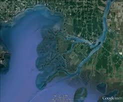 Clair is also the home of a world class muskie fishery. Project Anchor Bay St Clair Flats Phragmites Control And Education Project Great Lakes Phragmites Collaborative