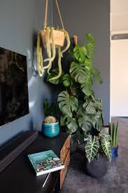Een Boek Vol Planten Urban Jungle Zosammieenzo Planten Kamerplanten Interieur Woonkamer