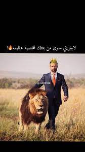 اقتباسات اسد لبوه عظيم قوي cute baby boy outfits cute baby boy funny cat wallpaper