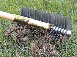 Order to get on the right track, early june is the right time. Dethatching Your Lawn Turfco