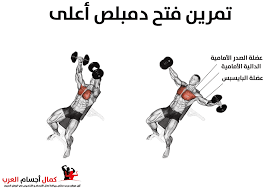 فتح دامبلز اعلى لإستهداف عضلة الصدر العلوية مجلة كمال الأجسام