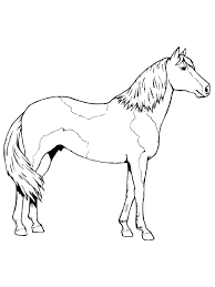 Always remember to close your paints up right between layers, so they don't dry out. Outline Drawings Horse Novocom Top