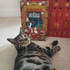 Pablo Luna On Instagram December Christmas Cat Adventcalendar Pablo Cats Raining Cats And Dogs Furry Friend