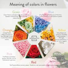 Flower dictionary authors grabbed the meaning of flowers from myth, legend, other cultures colors: The Meaning Of Roses According To Their Colour Verdissimo