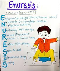 Image result for Enuresis
