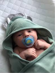 Greetings from the Interim Executive Director