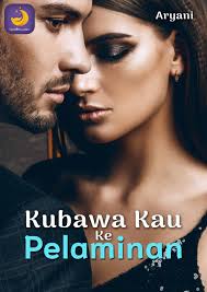 Baca Novel Kubawa Kau ke Pelaminan Gratis