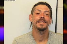 Dorian Knorr — Chatham County Jail Bookings