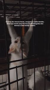 Perkara Waktu Yang Cepat Berlalu Kata Kata Indah Kutipan Terbaik Motivasi