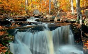 Oct 28, 2019 · when camping near bend, oregon, the campground also offers cabins, cottages and yurts if you don't have your own form of accommodation to use. 15 Boondocking Locations And Free Campsites In Pennsylvania Cruise America