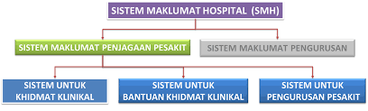 Psikologi klinikal dan psikologi klinik adalah yang paling popular dan disiplin ilmu psikologi. Sistem Maklumat Penjagaan Kesihatan Health Care Service Delivery