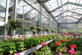 Oftmals fällt es nicht schwer, die passenden outdoor und garten geschenke zu finden. Sommerer Co Arlesheim Pflanzen Floristik Lifestyle Garten Terrasse Buro Geschenke Blumenstraus Sommerer Blumen Ch