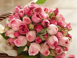 Rose flowers bouquet royalty free stock image image. Hd Wallpaper Pink Rose Flowers Beautiful Bouquet Wallpaper Flare