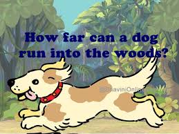 Fun Riddles How Far Can A Dog Run Into The Woods Bhavinionline Com Dog Runs Riddles Dogs