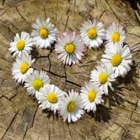 Robert L. Devilbiss Obituary (1940