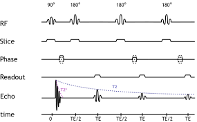 Mri Physics Mri Pulse Sequences Xrayphysics