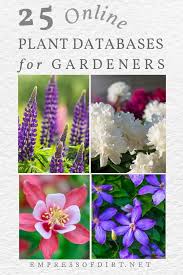 Get fresh and beautiful flowers for any occasion like valentine's day, mothers day, anniversary gifts, wedding flower, birthday flowers and many more occasions in vancouver. Online Plant Databases Canada United States Empress Of Dirt