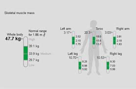 Case Report Bodybuilding Seca Mbca