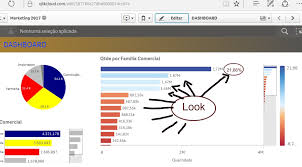 percentage and value at the same time in the bar c qlik