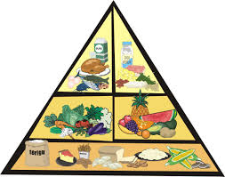 Empat sehat lima sempurna mungkin telah akrab bagi keluarga anda sebagai pedoman memenuhi kebutuhan gizi harian. Dari Empat Sehat Lima Sempurna Menjadi Gizi Seimbang Dietesien