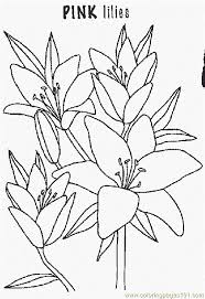 Kateri tekakwitha is a lily. Lily Coloring Page For Kids Free Flowers Printable Coloring Pages Online For Kids Coloringpages101 Com Coloring Pages For Kids