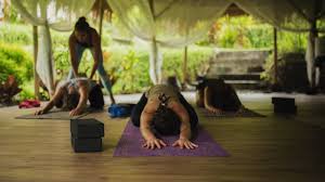 Maybe you would like to learn more about one of these? 58 Yogalehrer Ausbildungen Auf Bali Bookyogaretreats