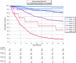 There is low risk for recurrence or metastasis. Understanding A Stage 4 Diagnosis Prognosis Scott G Riddle