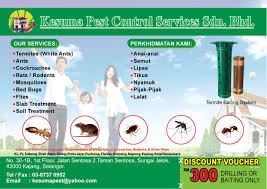 Purchase the diamond pest control sdn. Sky Pest Control Home Facebook