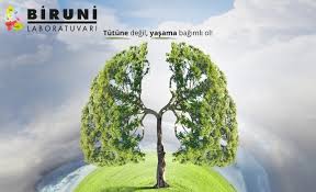 22 nisan tarihinde tüm dünyada yayınlanan ve earth day olarak bilinen dünya günü ile ilgili merak ettiğiniz. Dunya Tutunsuz Gunu Biruni Laboratuvari