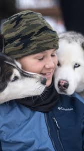 Up for Adoption!! Bruce Wayne, retiring from sled dog life and looking for  an active family. He's 8 yrs young, active, friendly and loves attention.  If you're interested in meeting Bruce, send us a DM ...