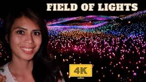 MUNRO FIELD OF LIGHTS AT SENSORIO PASO ROBLES CALIFORNIA IN 4K