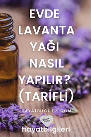 Lavanta Yagi Nasil Yapilir Hayat Bilgileri Lavanta Kolajen Saglikli Olmak