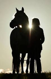 pin auf horses 2