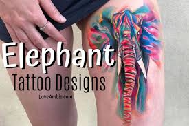 So you probably have seen some of the cultural significance of elephant tattoos from the above examples. 75 Best Elephant Tattoo Designs For Women 2021 Guide