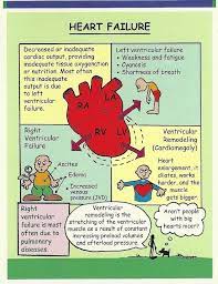 Pin By Klea On Nurses Rock Nursing School Notes Nursing School Survival Nursing School