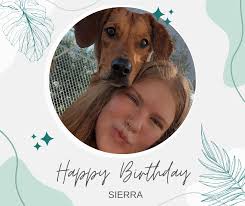 Aloha Pet Resort and Spa