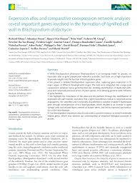 Peperiksaan akhir sijil pendidikan mrsm 2017 →. Pdf Expression Atlas And Comparative Coexpression Network Analyses Reveal Important Genes Involved In The Formation Of Lignified Cell Wall In Brachypodium Distachyon
