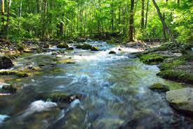 Ssl özel güvenlik teknolojisiyle nehir.com.tr'den yaptığınız tüm alışverişlerde bilgileriniz şifrelenerek nehir güvencesi altına alınır. Nehir Stok Fotograflar Nehir Telifsiz Resimler Gorseller Depositphotos