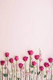 Looking for the best pink floral powerpoint backgrounds? Pink Roses On A Pink Background By Ruth Black Rose Background Flower Background Wallpaper Flower Backgrounds Pink Background