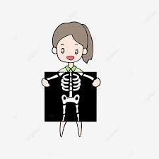 Clipart x ray cartoon images. X Ray Clipart Cartoon Employee X Ray Clipart X Ray X Ray Clip Art Png Transparent Clipart Image And Psd File For Free Download