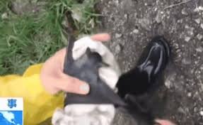 Google의 무료 서비스로 영어와 100개 이상의 다른 언어로 단어, 구문, 웹페이지를 즉시 번역합니다. ì˜ìƒ ë°•ì¥ê°€ ë‚  ë¬¼ì—ˆë‹¤ ä¸­ ìš°í•œì—°êµ¬ì†Œ ì‚­ì œì˜ìƒì— ë°œì¹µ ë„¤ì´íŠ¸ ë‰´ìŠ¤