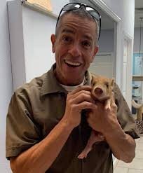 THIS little piggy, made my day! ❤🐗 Jensen Beach, FL #UPSHogs 🤗