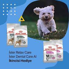 royal canin den kucuk dostumuza guzel bir lezzet kopek malzemeleri kopek oyuncaklari kopek