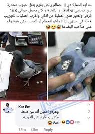 pin by dody dody on funny really funny memes funny jokes funny memes