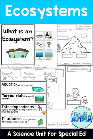 Ecosystems Science Unit For Special Ed Ecosystems Unit Ecosystems Science Units